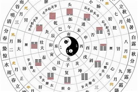 10天干12地支|【基礎教學】認識天干地支｜13點讓你快速了解天干地